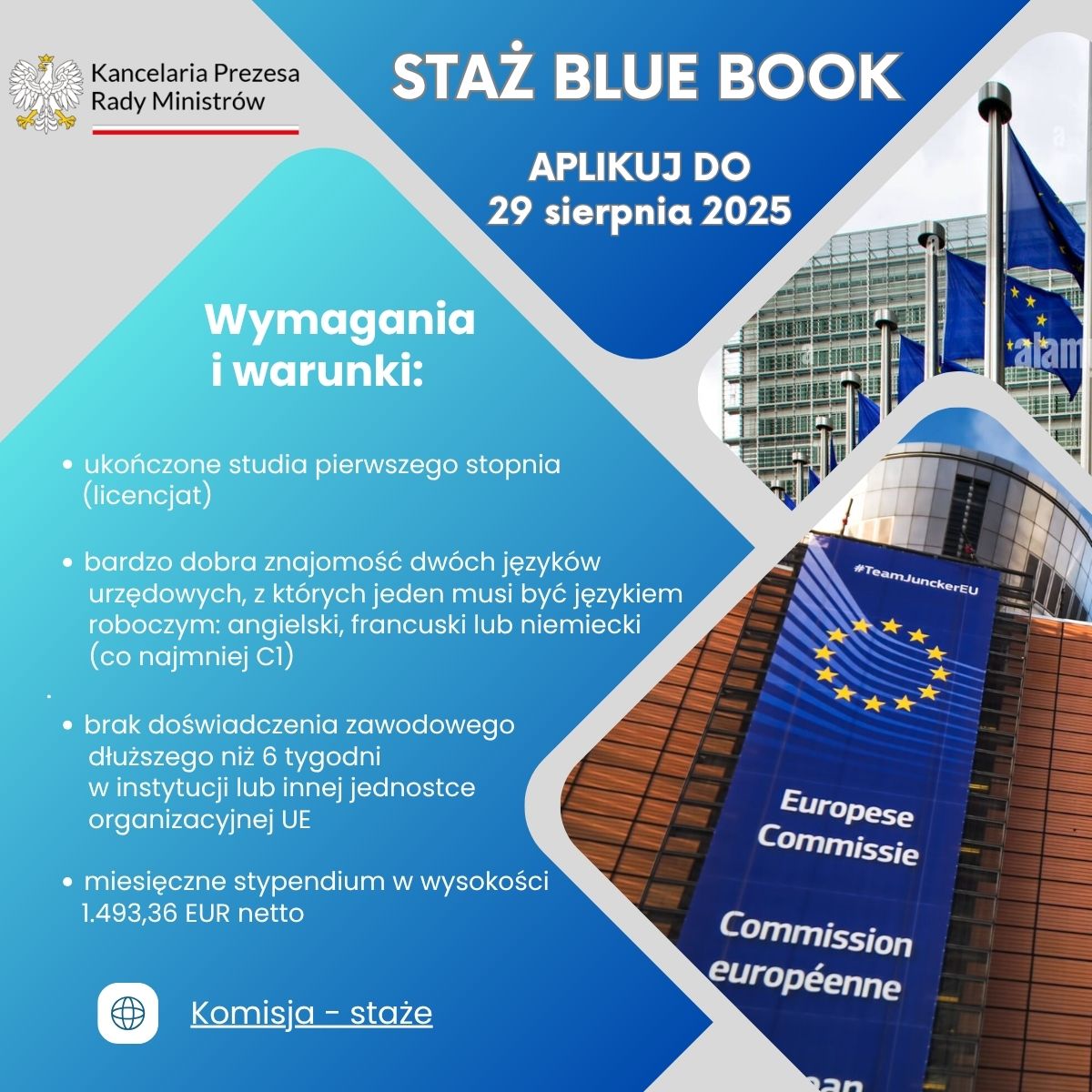 Staże - Blue Book – kopia